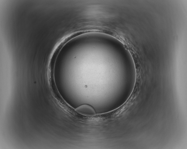 X0000108480342200904091442