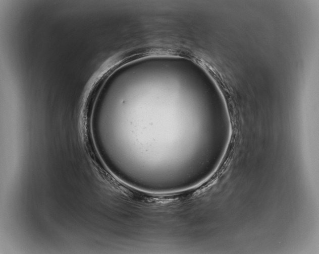 X0000108480343200904091442