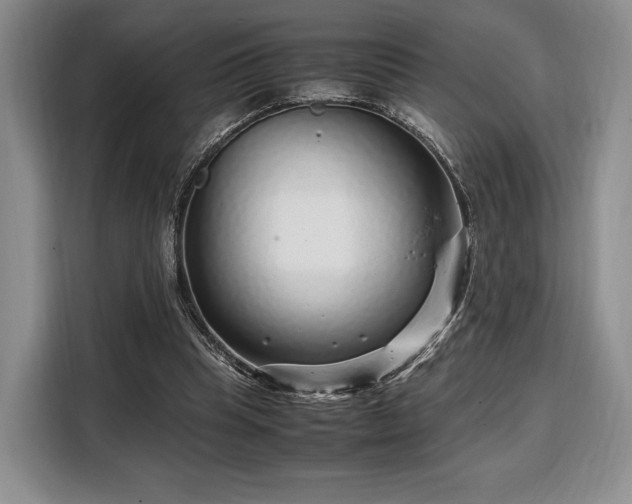 X0000108480345200904091442