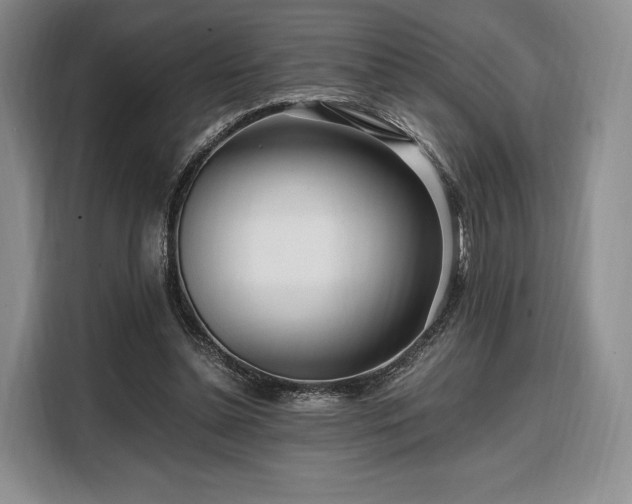 X0000108480348200904091442
