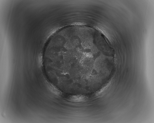 X0000108480351200904091442