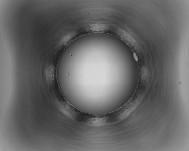 X0000108480356200904091442
