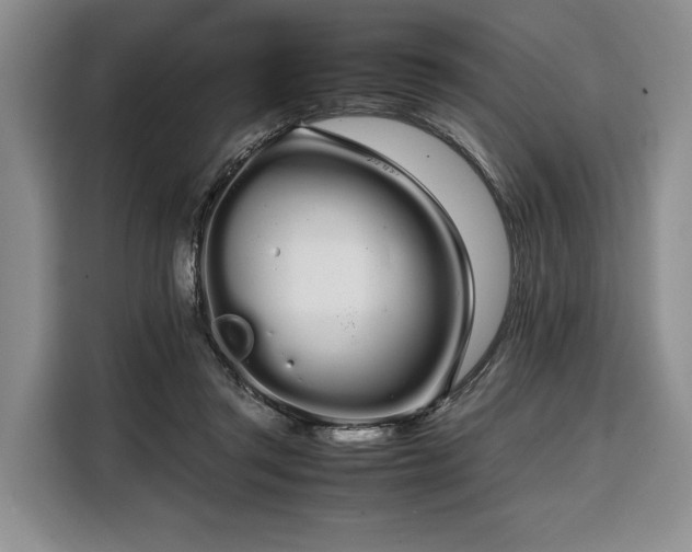 X0000108480357200904091442