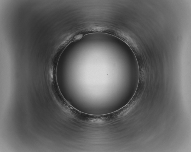 X0000108480358200904091442
