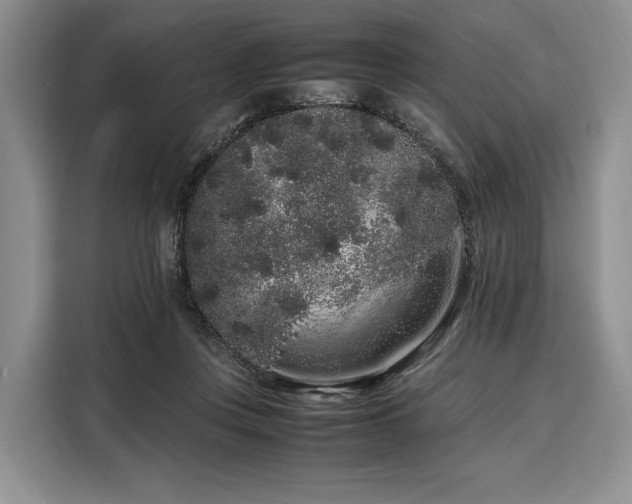 X0000108480359200904091442