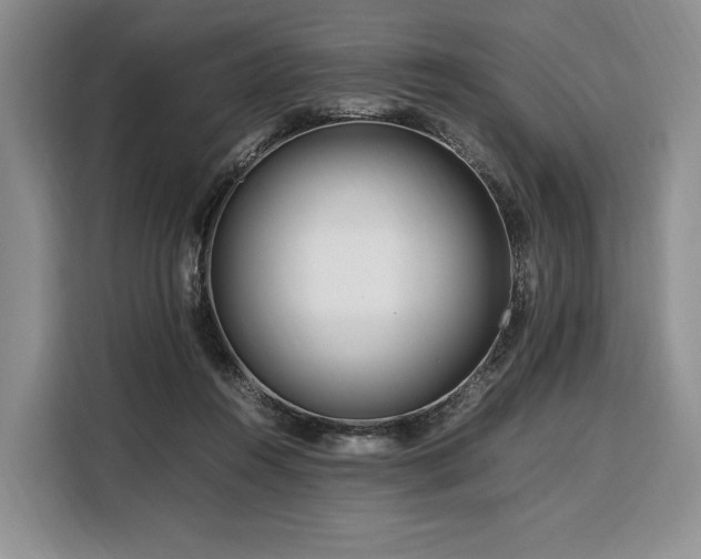 X0000108480360200904091442