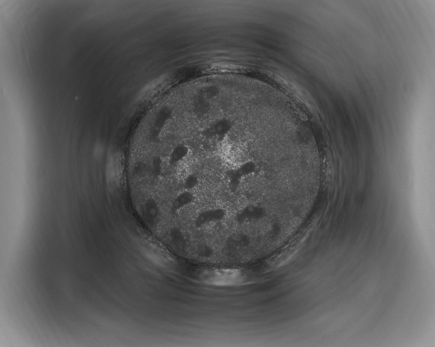 X0000108480361200904091442