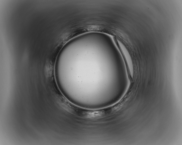 X0000108480367200904091442