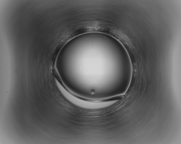 X0000108480369200904091442