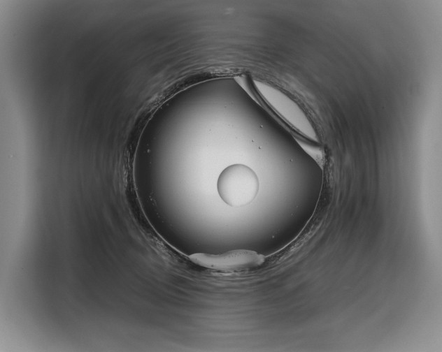 X0000108480370200904091442