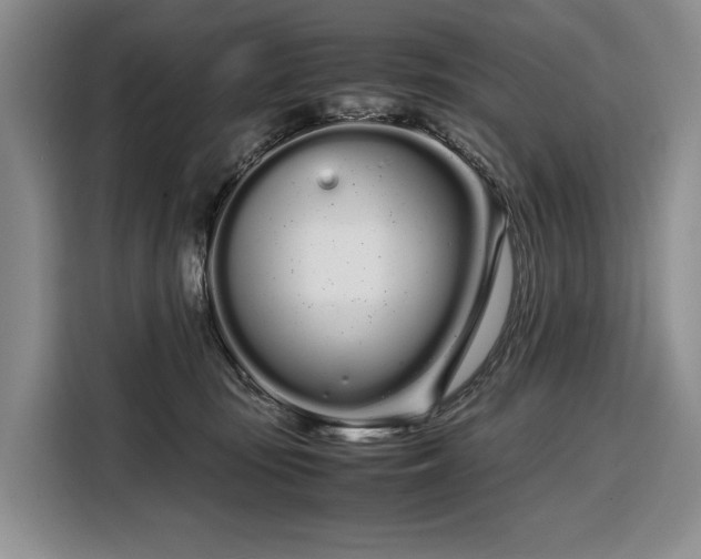 X0000108480371200904091442
