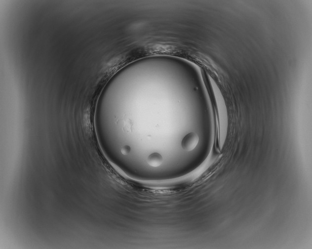 X0000108480377200904091442