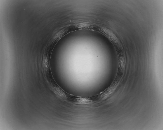 X0000108480380200904091442