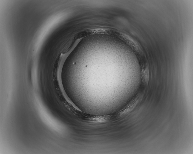 X0000108480381200904091442