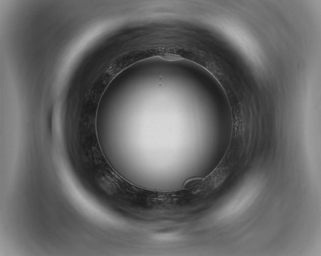X0000108480383200904091442