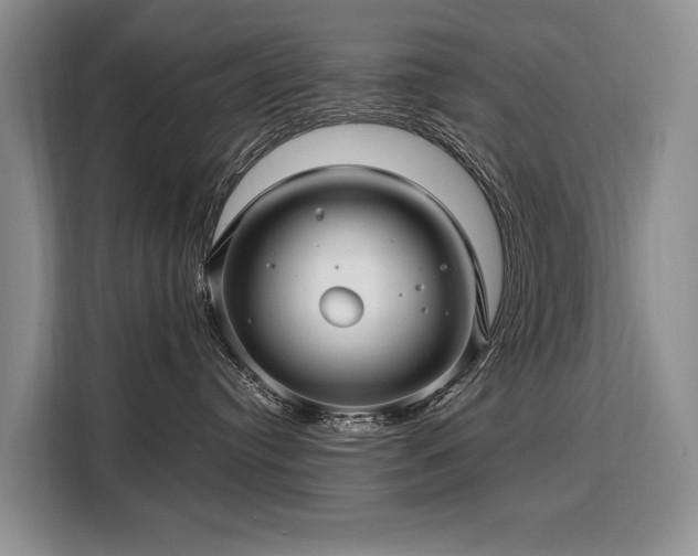 X0000108480384200904091442
