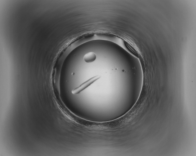 X0000108480389200904091441