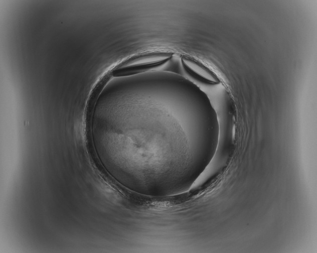 X0000108480391200904091441