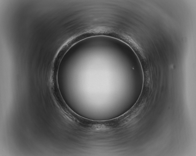 X0000108480392200904091441