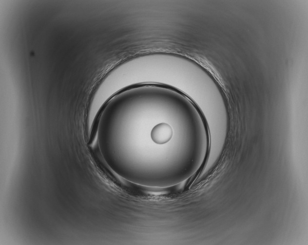 X0000108480393200904091441