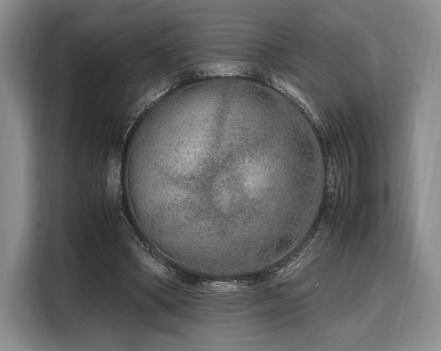 X0000108480394200904091441