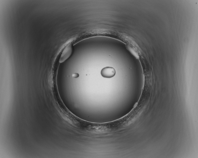 X0000108480395200904091441