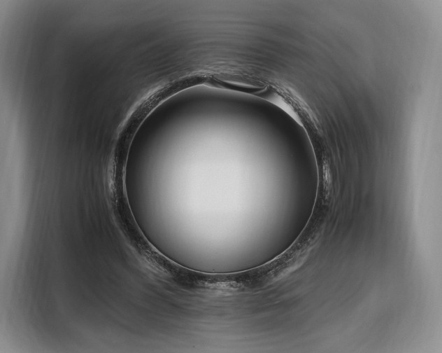 X0000108480396200904091441