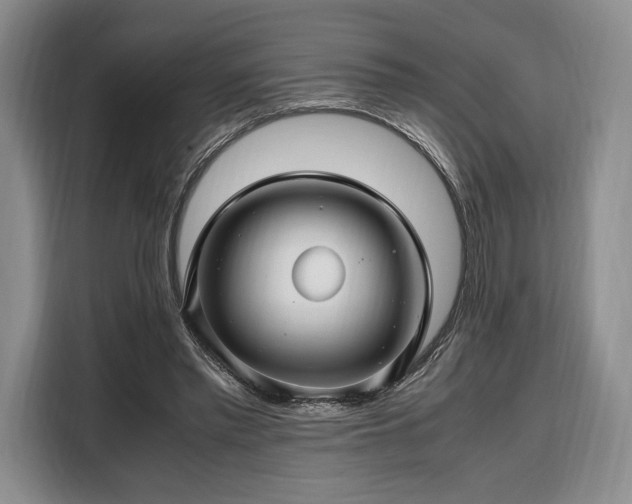 X0000108480397200904091441
