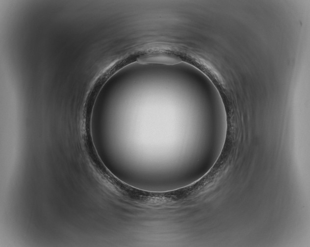 X0000108480399200904091441