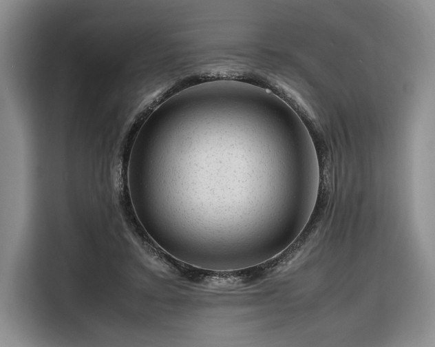 X0000108480403200904091441