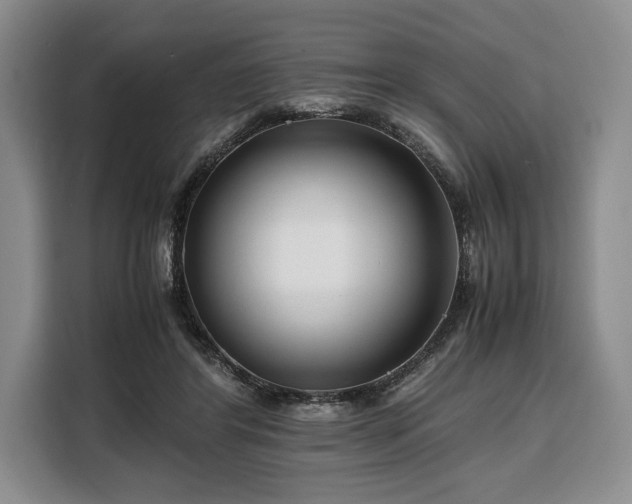 X0000108480404200904091441