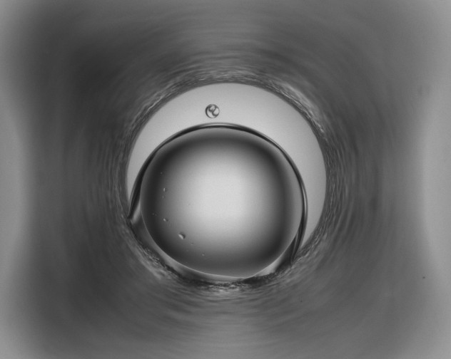 X0000108480405200904091441