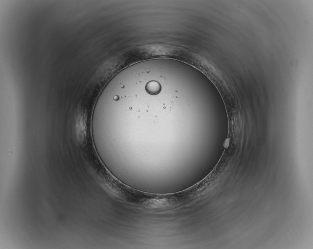 X0000108480406200904091441