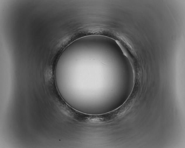 X0000108480407200904091441