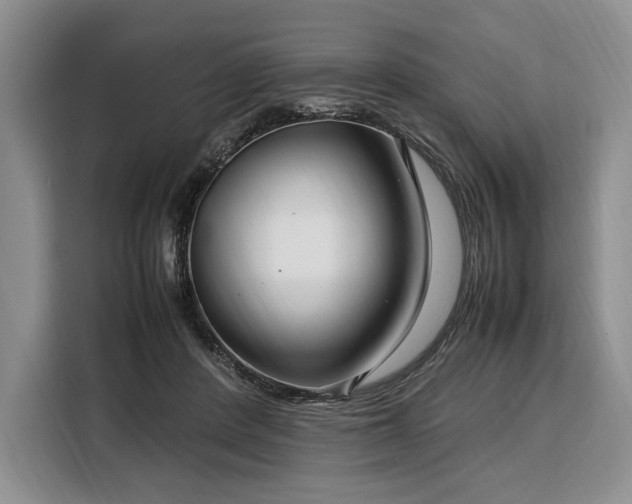 X0000108480408200904091441