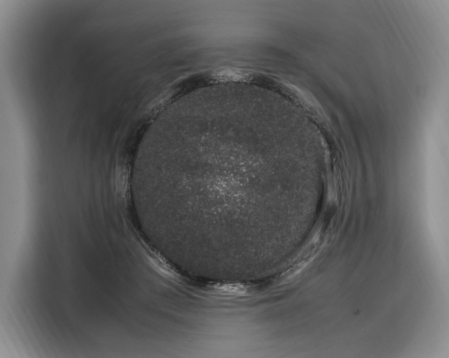X0000108480409200904091441