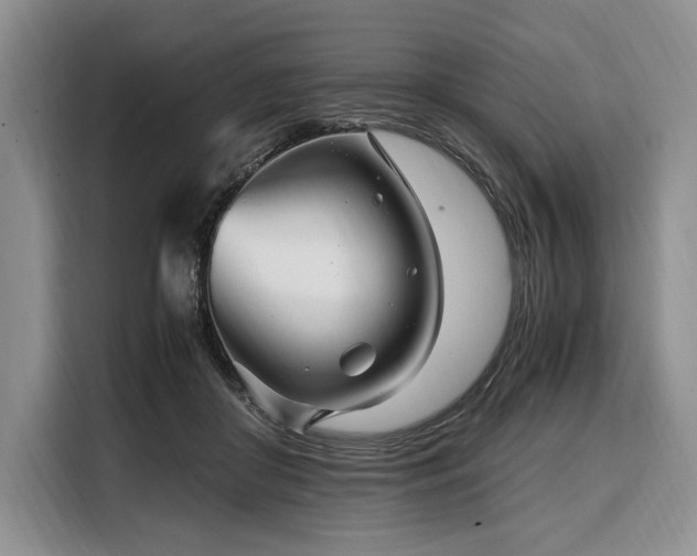 X0000108480410200904091441