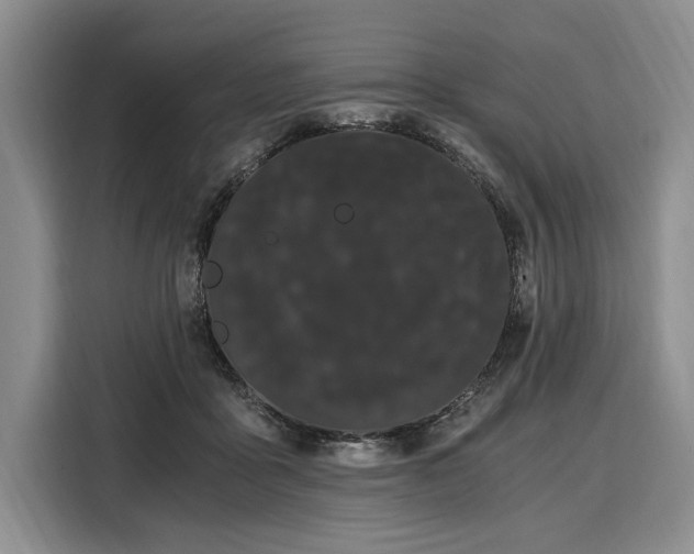 X0000108480411200904091441