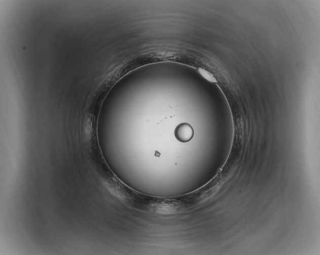 X0000108480412200904091441