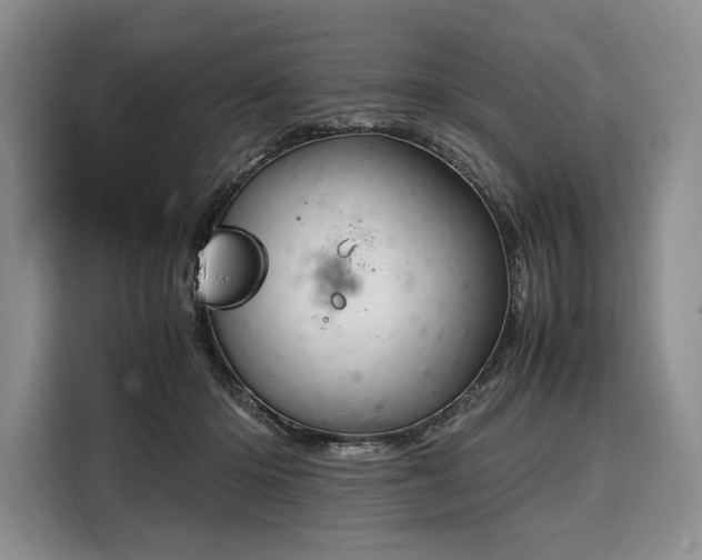 X0000108480414200904091441