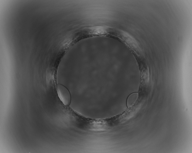 X0000108480415200904091441