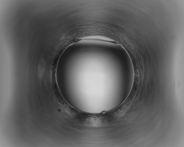 X0000108480416200904091441