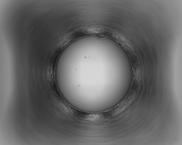 X0000108480418200904091441