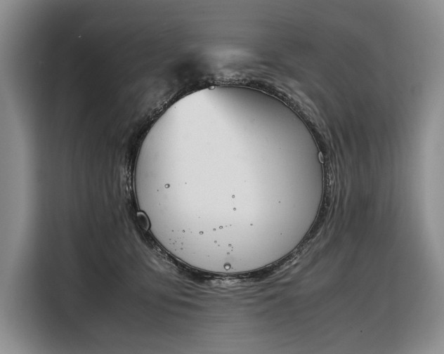 X0000108480419200904091441