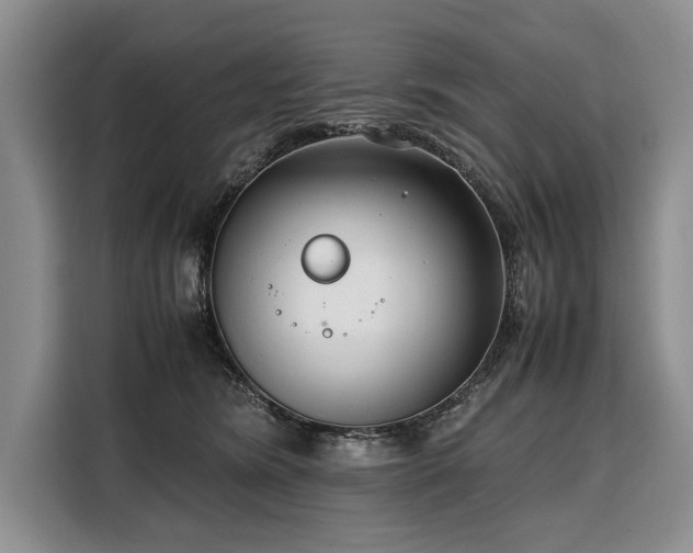 X0000108480420200904091441