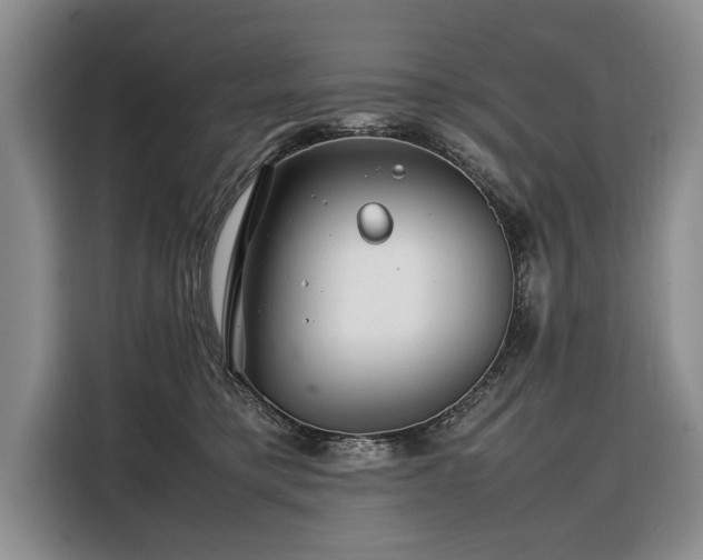 X0000108480421200904091441