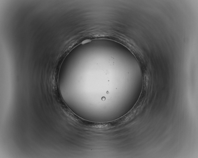 X0000108480422200904091441