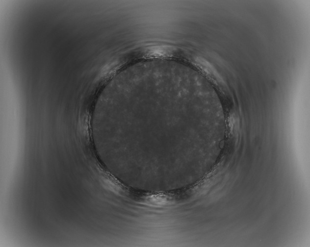 X0000108480423200904091441