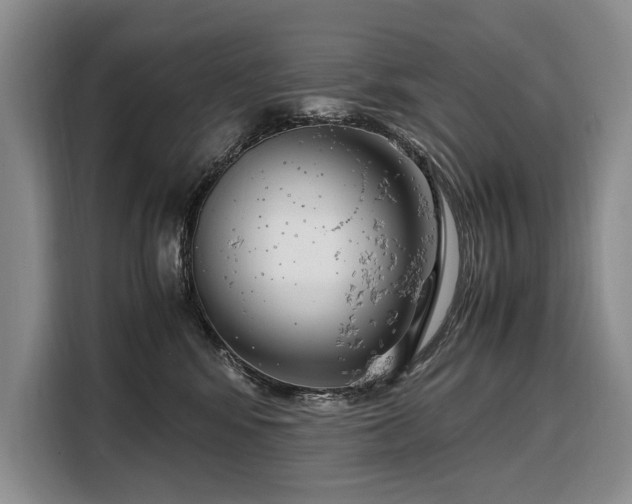 X0000108480424200904091441