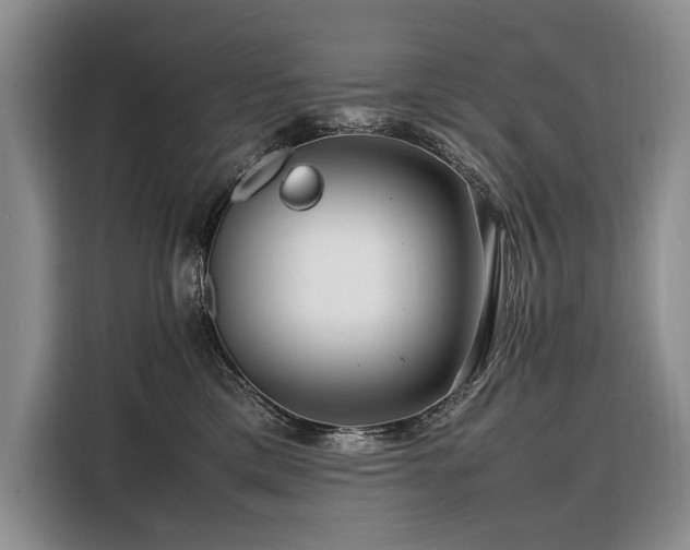 X0000108480425200904091441